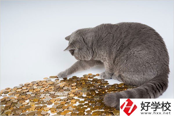 邵陽的職高一年學(xué)費(fèi)是多少？比較便宜的學(xué)校有哪些？