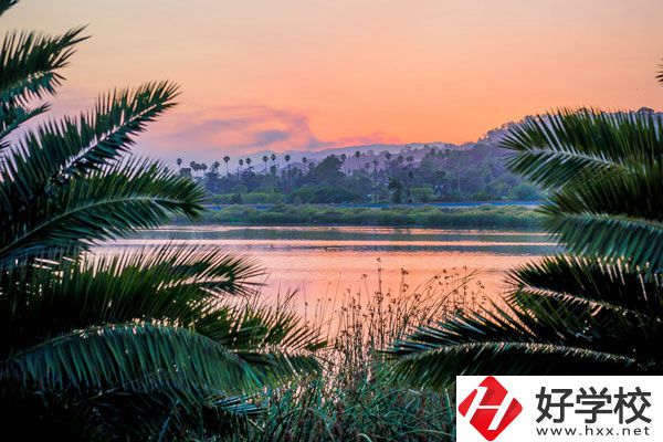 澧縣城頭山中等職業(yè)學(xué)校怎么樣？