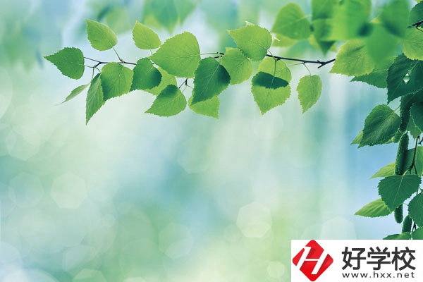 永州工商職業(yè)中等專業(yè)學(xué)校哪些是特色專業(yè)？好就業(yè)嗎？