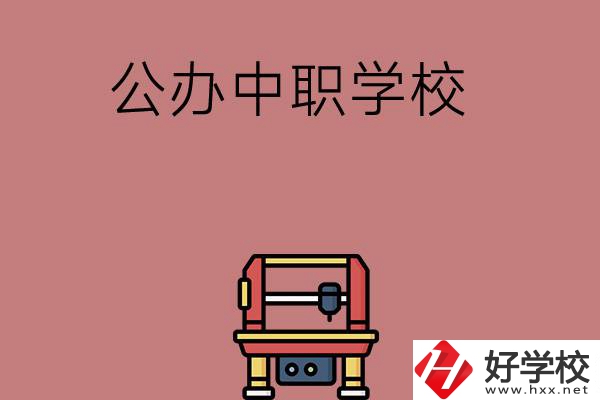 長(zhǎng)沙可以學(xué)計(jì)算機(jī)應(yīng)用專業(yè)的公辦中職學(xué)校有哪些？