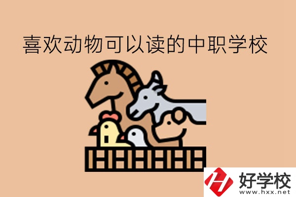 喜歡動物的學生，可以讀這些中職學校!