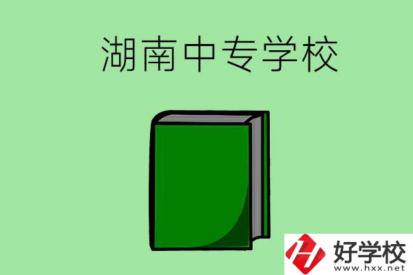 湖南的中專(zhuān)學(xué)校有哪些？都開(kāi)設(shè)了哪些專(zhuān)業(yè)？