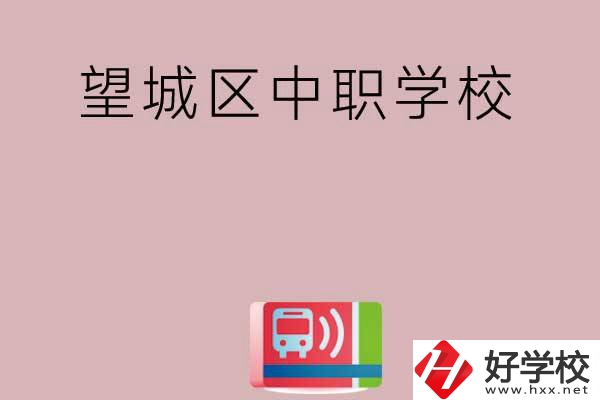 長(zhǎng)沙望城區(qū)有哪些中職學(xué)校？