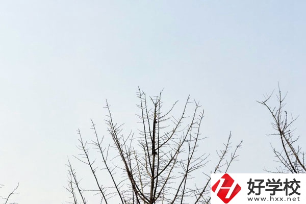 益陽(yáng)第一職業(yè)中專(zhuān)學(xué)校怎么樣？值得報(bào)考嗎?