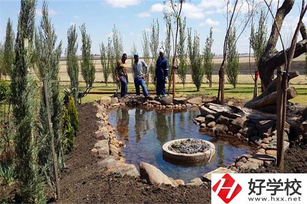 在湖南中職學(xué)哪些專業(yè)更容易考本科？