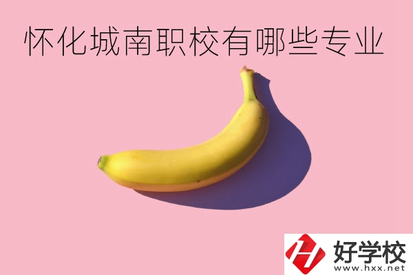 懷化城南職業(yè)學(xué)校有哪些專業(yè)？學(xué)校好不好？