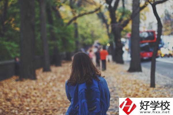 衡陽市職業(yè)中等學(xué)校計算機應(yīng)用專業(yè)好不好？