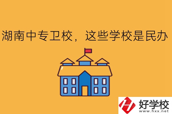 湖南中專(zhuān)衛(wèi)校，這些學(xué)校是民辦!
