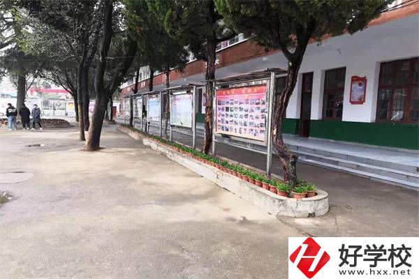 岳陽有沒有升學(xué)率高的民辦職高？職高能升學(xué)是真的嗎？