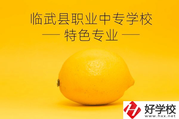 臨武縣職業(yè)中專學(xué)校好嗎？有哪些特色專業(yè)？