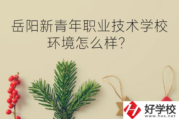 岳陽新青年職業(yè)技術(shù)學(xué)校好不好？環(huán)境怎么樣？