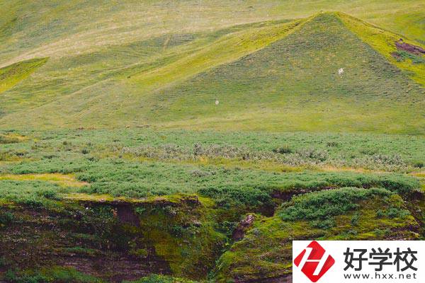 湖南衡南職業(yè)中等專業(yè)學(xué)校好嗎？學(xué)校有什么優(yōu)勢(shì)？
