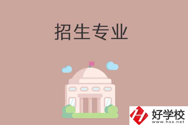 益陽有哪些高職院校設(shè)立了中職部？招生專業(yè)有哪些？