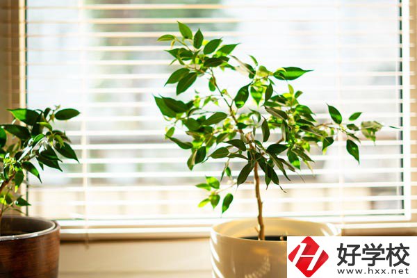 湖南省商業(yè)技師學(xué)院有哪些教學(xué)特色？報(bào)考有何要求？