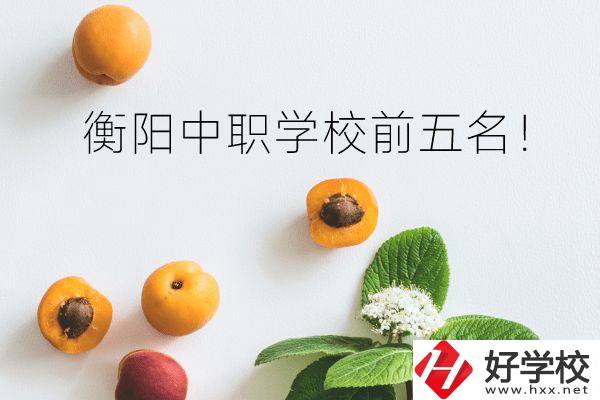 衡陽中職學(xué)校前五名！你選對了嗎？