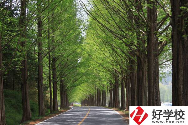 張家界的公辦中職學(xué)校有哪些？