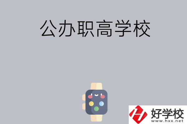 長(zhǎng)沙哪些公辦職高學(xué)校比較有特色？