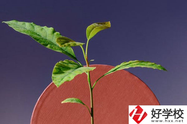 株洲市工業(yè)中等專校怎么樣？好不好？