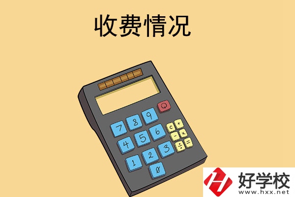 長(zhǎng)沙的中專(zhuān)學(xué)校收費(fèi)情況怎么樣？