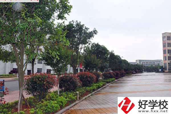 長(zhǎng)沙市電子工業(yè)學(xué)校開設(shè)了哪些專業(yè)，附招生要求？