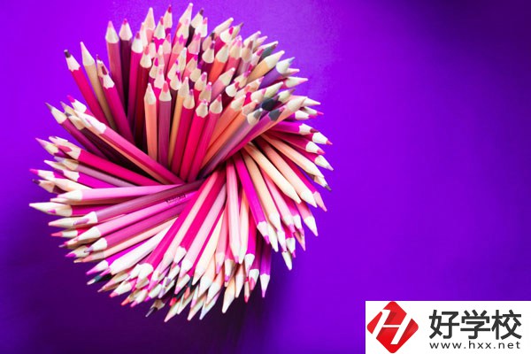 在懷化有什么職校可以學(xué)習(xí)幼師？好不好？