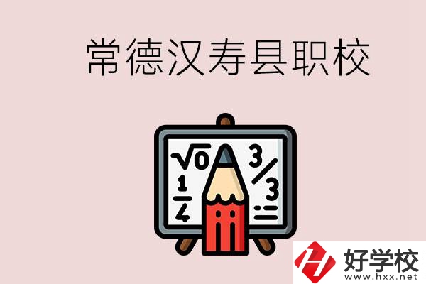 常德的漢壽縣有什么職校？是公辦的嗎？