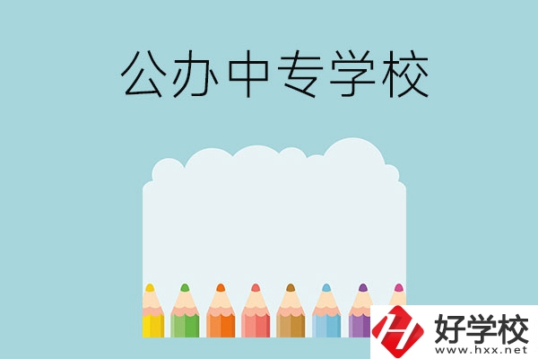 湖南地區(qū)有哪些公辦的中專(zhuān)學(xué)?？梢酝扑]呢？