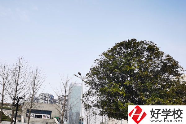 益陽科技工程學(xué)校有哪些專業(yè)？就業(yè)如何？