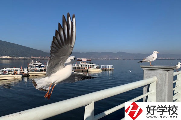 準(zhǔn)備讀中專，衡陽(yáng)縣職業(yè)中專好不好？