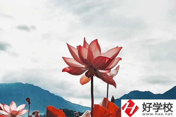 隆回華星職業(yè)技術(shù)學(xué)校有哪些專(zhuān)業(yè)？值得學(xué)生報(bào)考么？