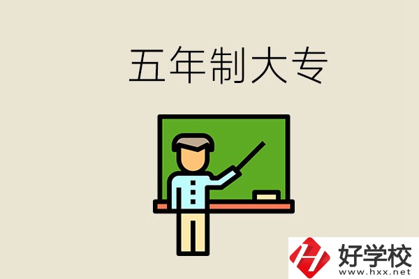 岳陽有哪些五年制大專？畢業(yè)了怎么發(fā)展？