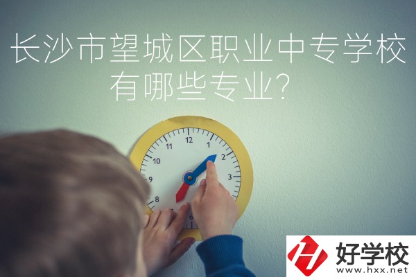 長(zhǎng)沙市望城區(qū)職業(yè)中等專業(yè)學(xué)校有哪些專業(yè)？