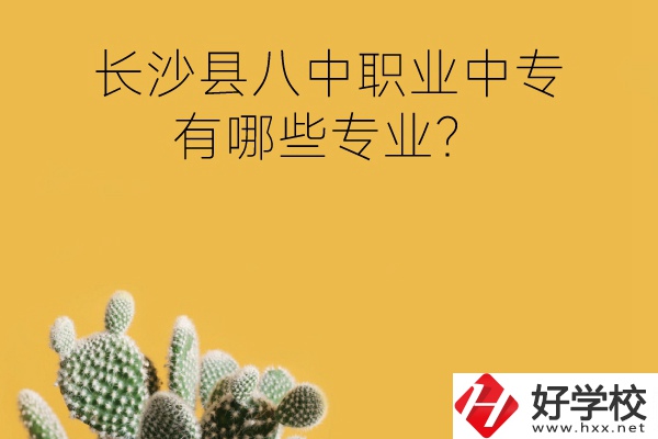 長沙縣八中職業(yè)中專好不好？有哪些專業(yè)？