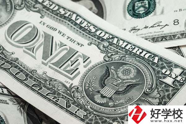 湖南的技校學(xué)費(fèi)貴嗎？有哪些補(bǔ)貼政策？