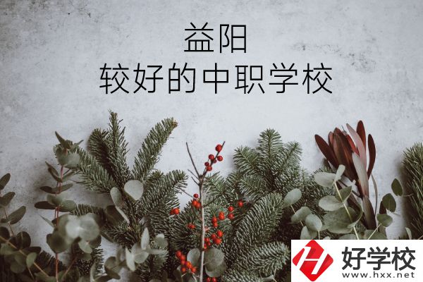 益陽有哪些中職學(xué)校比較好？