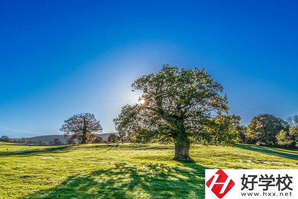 湘西旅游學(xué)校是一所怎樣的中專？