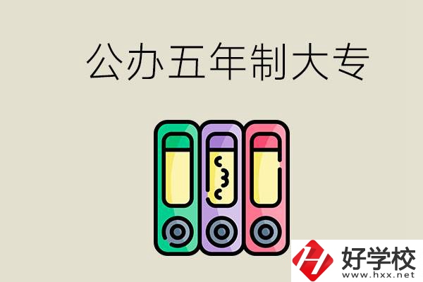 岳陽有什么公辦的五年制大專學(xué)校？讀了有用嗎？