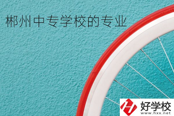 郴州中專學(xué)校有什么專業(yè)？