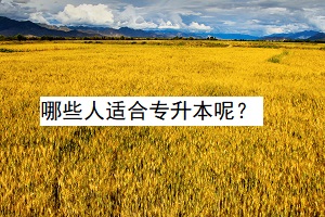 哪些人適合專升本呢？