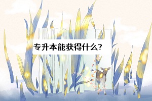 專升本能獲得什么？