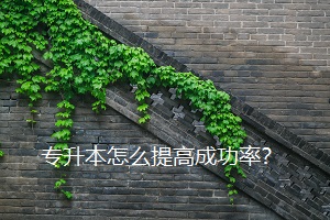 專升本怎么提高成功率？