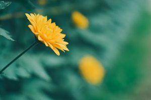 精做真題，查缺補(bǔ)漏