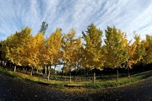 大專第三年才開始準(zhǔn)備普通專升本考試來得及嗎？該如何備考？