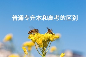 普通專升本和高考之間有什么差別？哪個更難考？