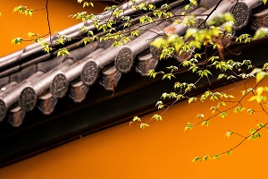 普通專(zhuān)升本備考的第一步是先擇校還是先選專(zhuān)業(yè)？