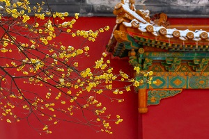 全日制普通專升本和本科有區(qū)別嗎？哪些地方是不同的？