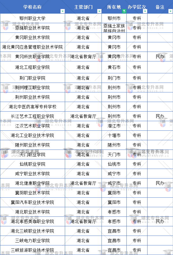 武漢市外的?？茖W(xué)校